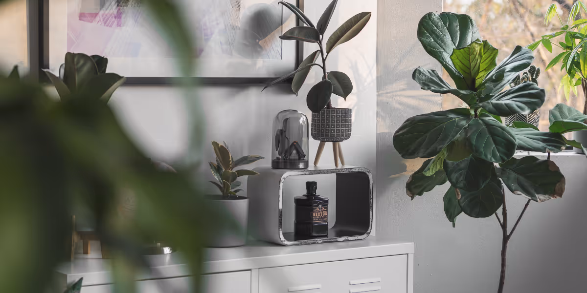 How to Clean the Air in Your Home