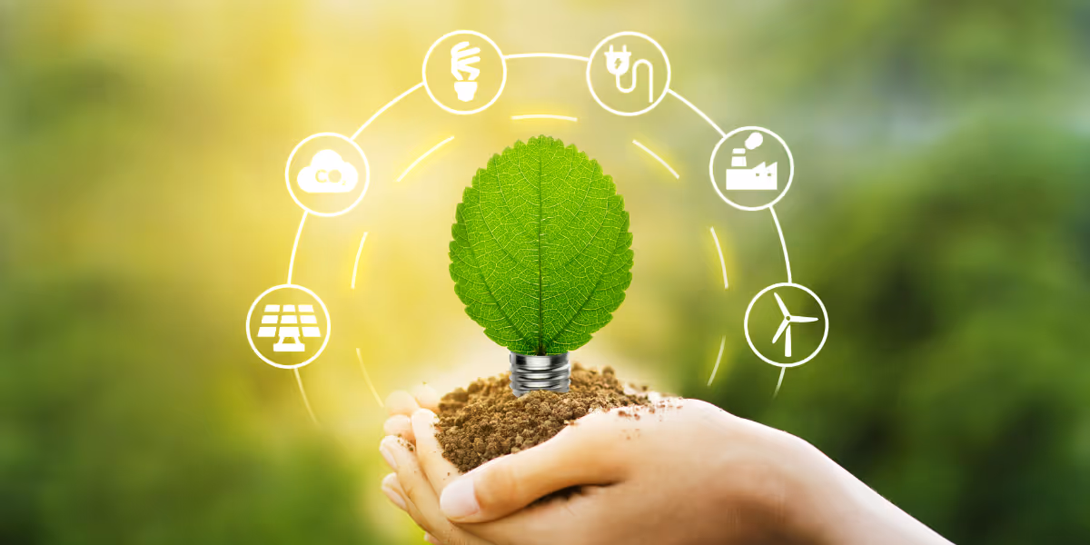 How to Avoid Being BAMBOOzled by Green Labels
