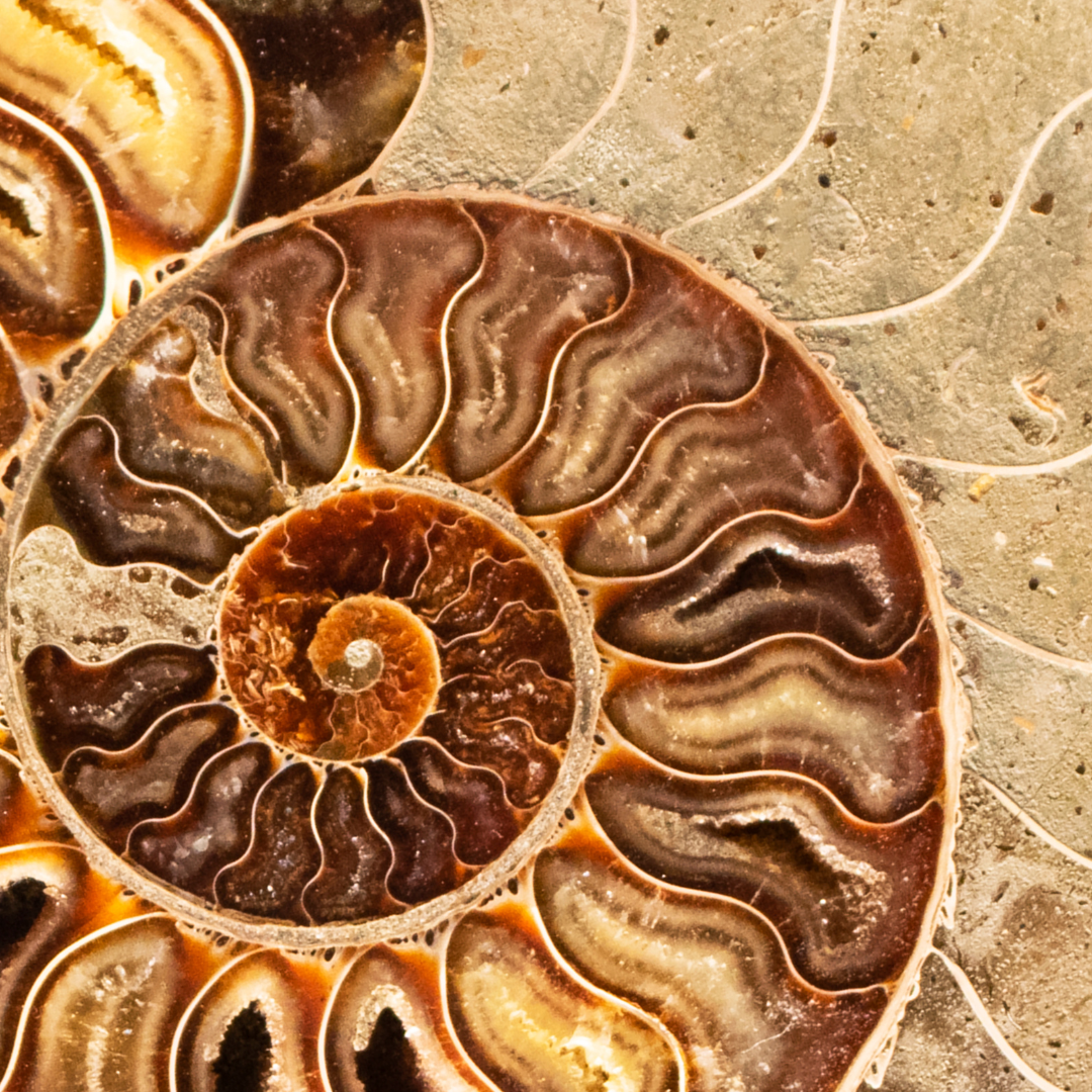 Earthly home accessorizing minerals3 | Sesshu Design Associates