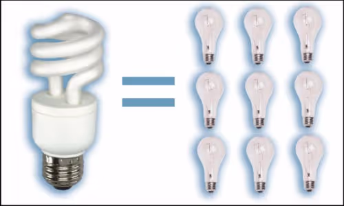 Fluorescent Bulb