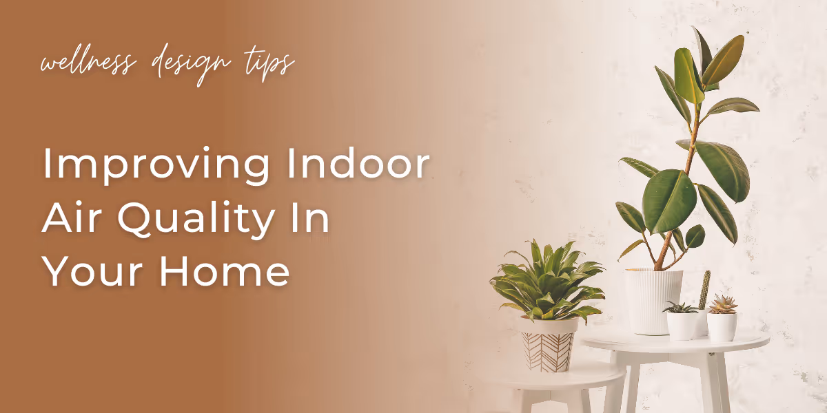 Improve The Indoor Air Quality In Your Home